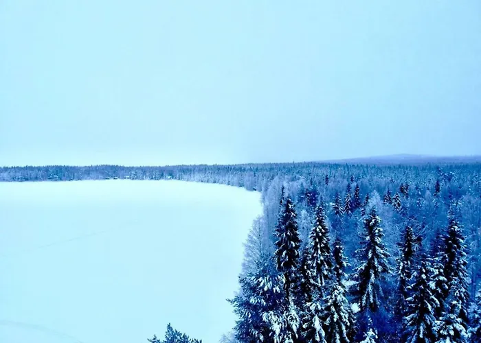 Aurela 로바니에미